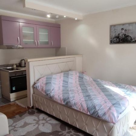 Alex 2 Apartman Vrnjacka Banja Bagian luar foto