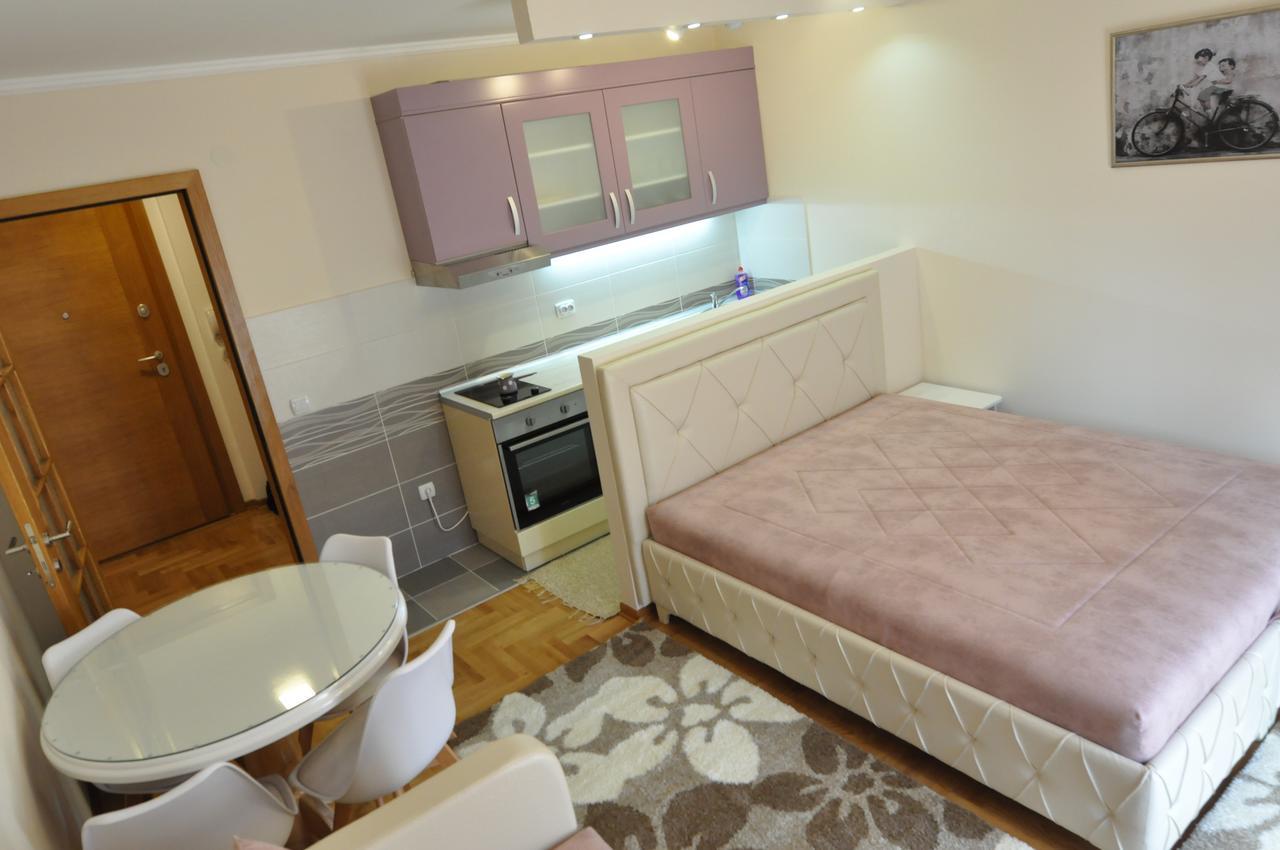 Alex 2 Apartman Vrnjacka Banja Ruang foto