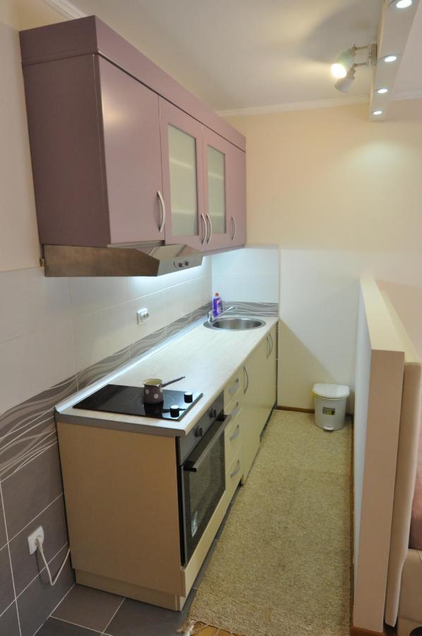 Alex 2 Apartman Vrnjacka Banja Ruang foto